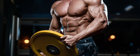 Build mass - How to reach your goal with the right training