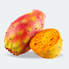 Mild Cactus Fruit