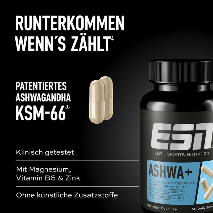 can i take l carnitine with ashwagandha L-Carnitine: Benefits, Side Effects, FAQ, Sources, and Dosage Ashwagandha Kapseln kaufen | Anti-Stress
